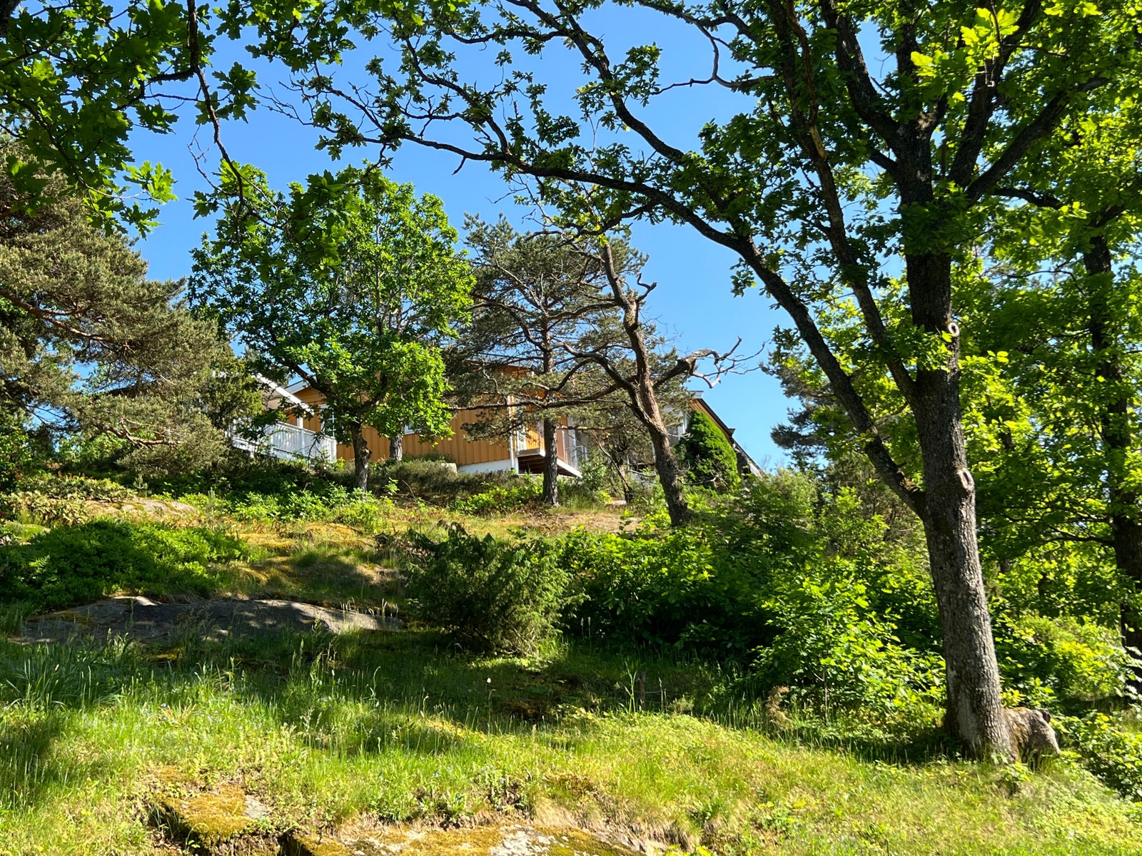 Fint nabolag med flotte hager Galleribilde