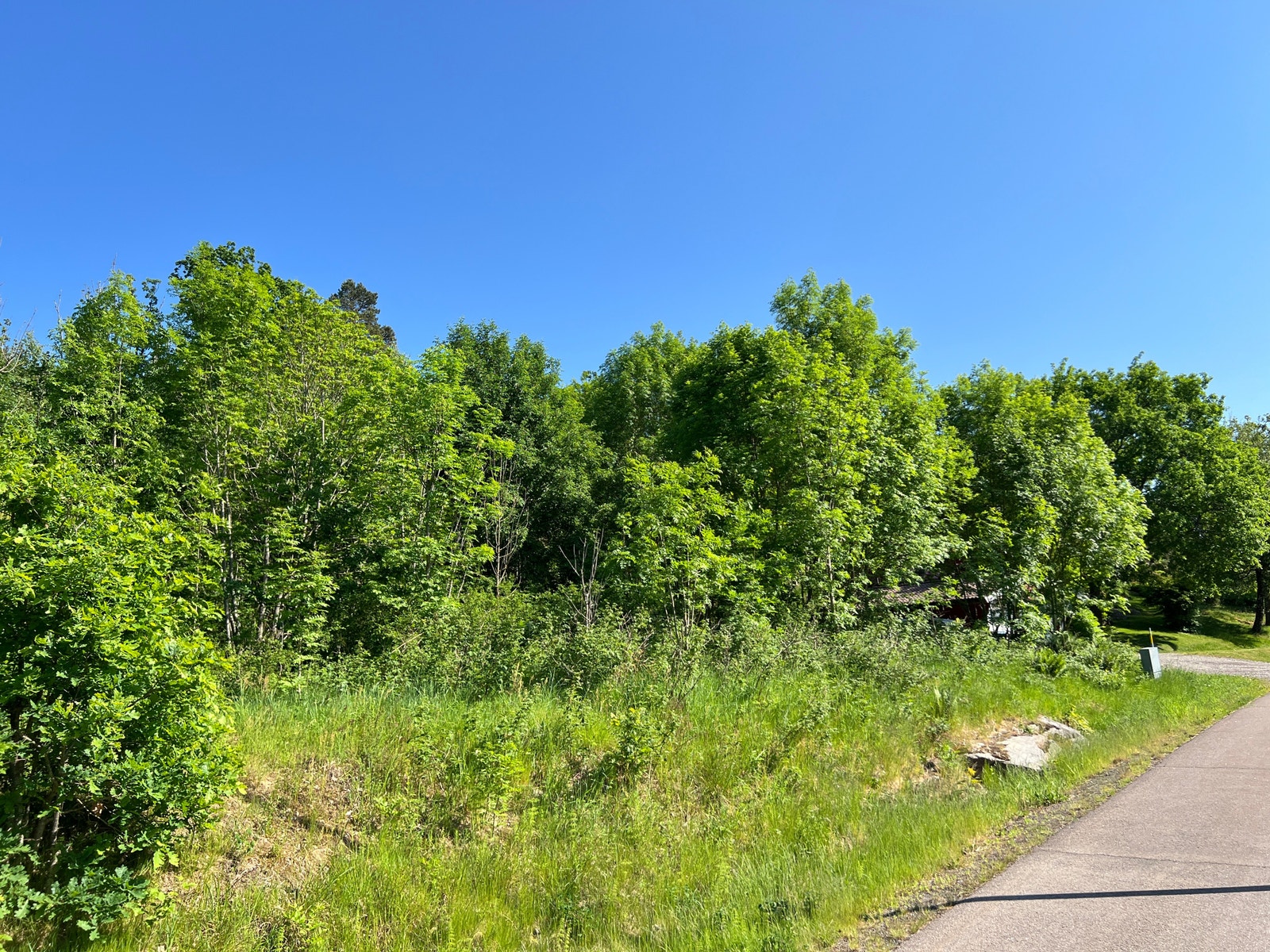 Tomten er veldig stor, 1.600 m2. Man kan velge å dele tomten opp og selge den andre delen eller man kan bygge og opparbeide en stor hage Galleribilde