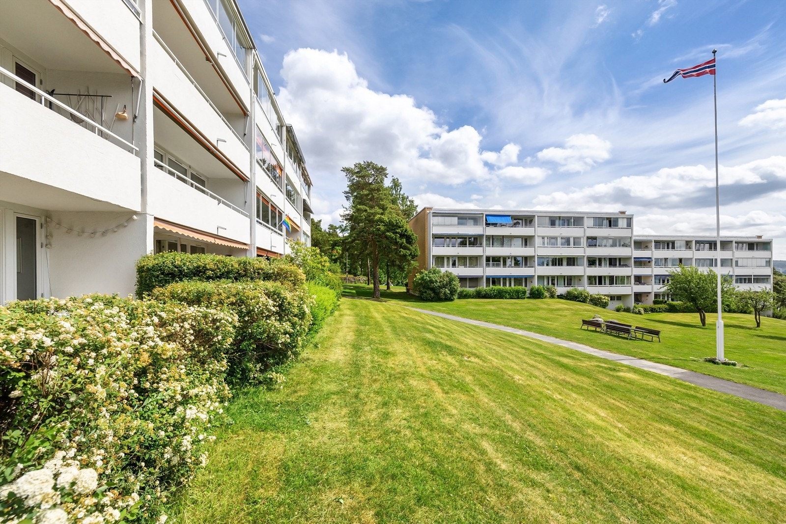 Store grøntområder som omkranser borettslaget Galleribilde