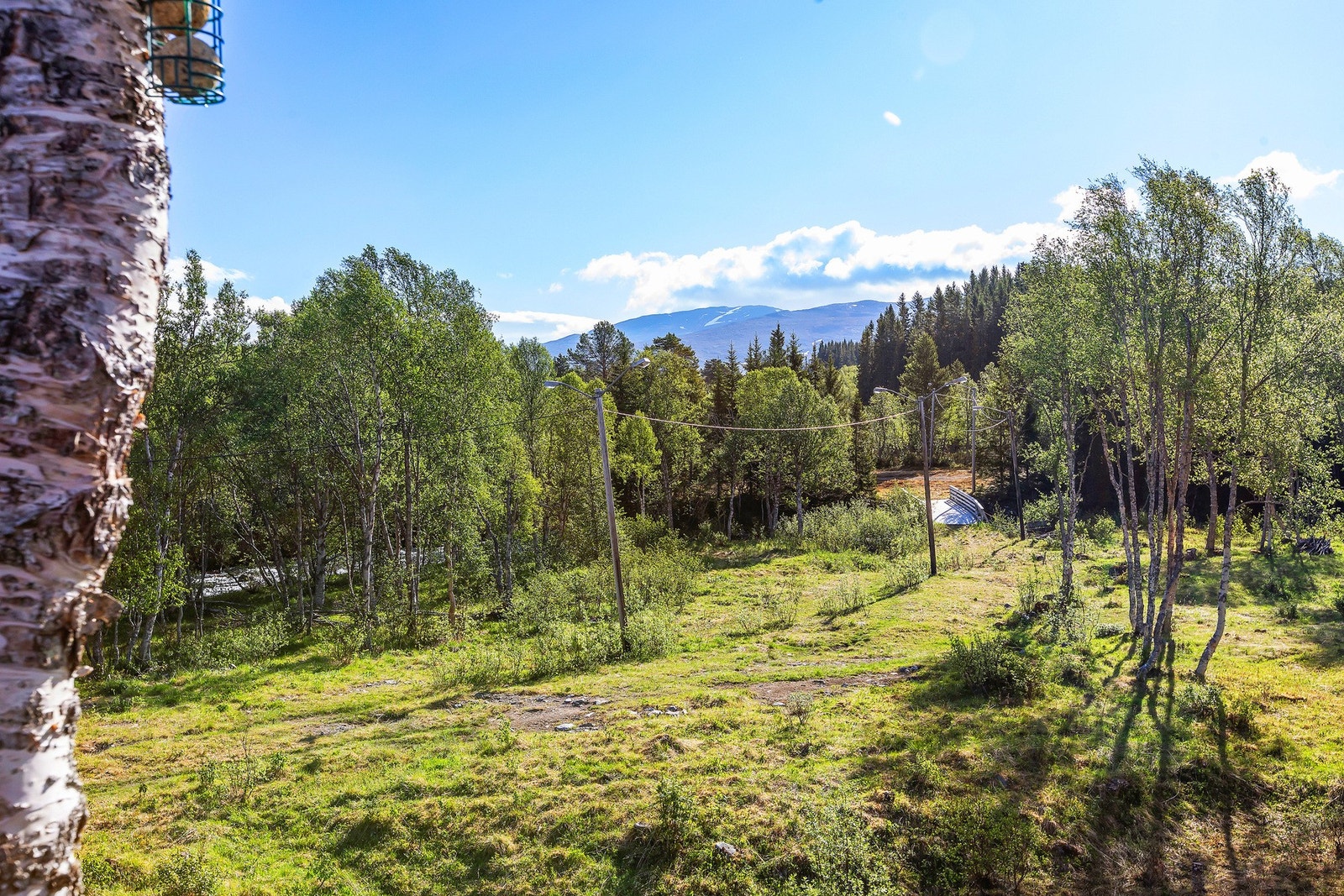 Omradebilde Galleribilde