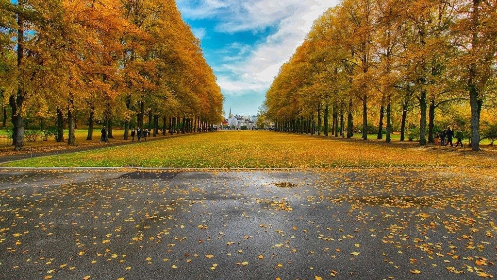 Gode turmuligheter i Frognerparken, Stensparken og Slottsparken. Galleribilde