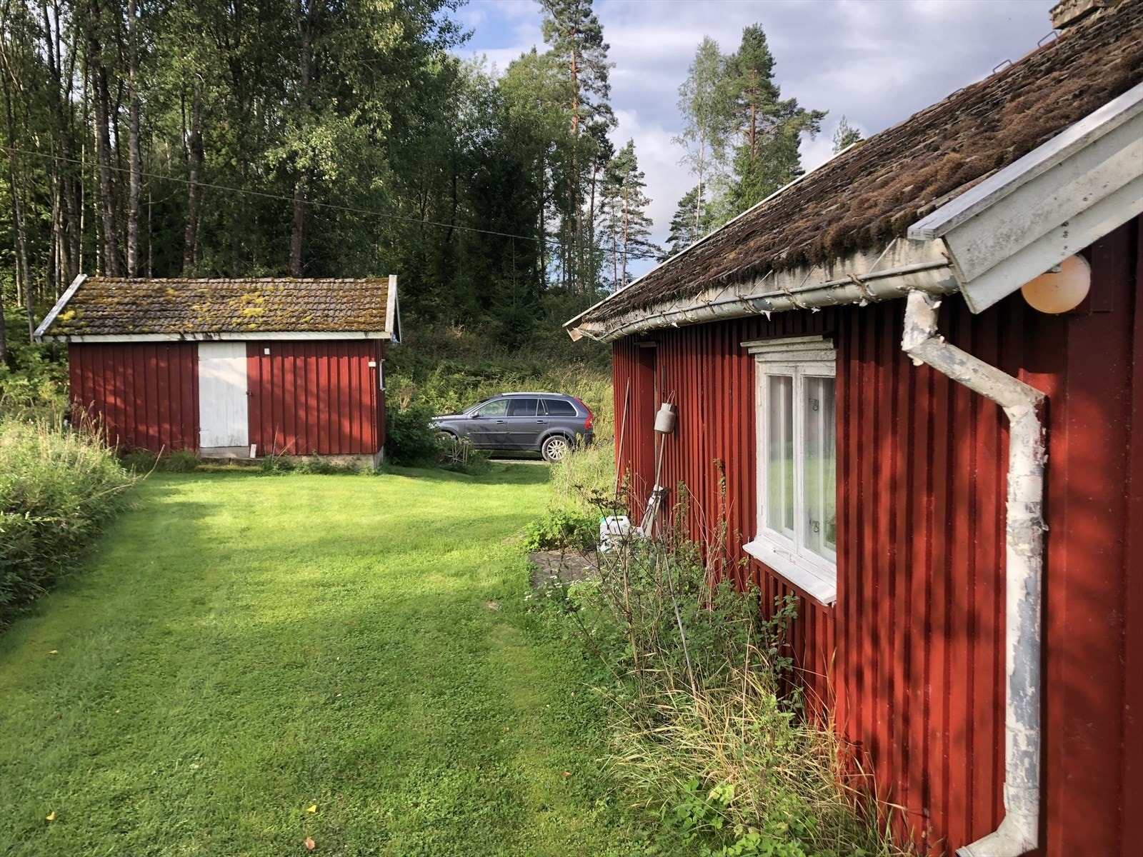 Bilde fra tunet tatt av eier Galleribilde