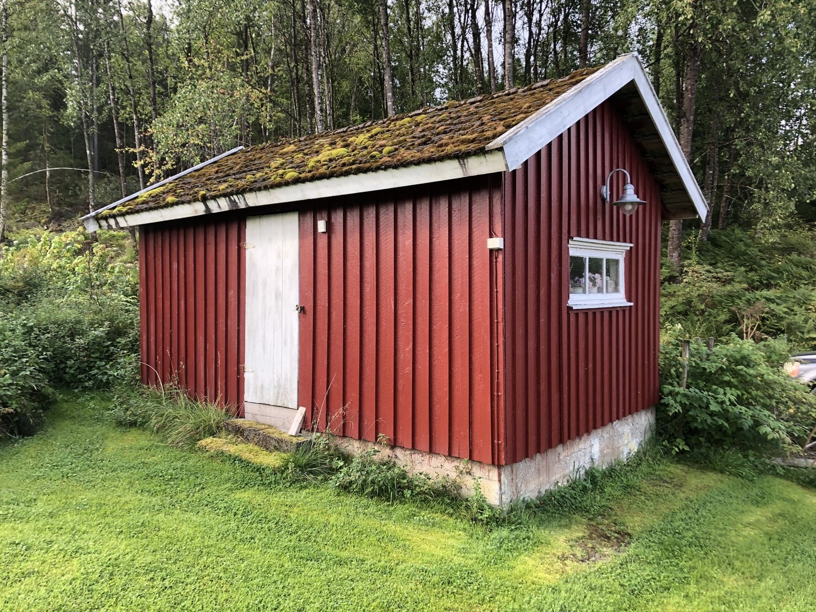 Bilde fra utebod tatt av eier Galleribilde