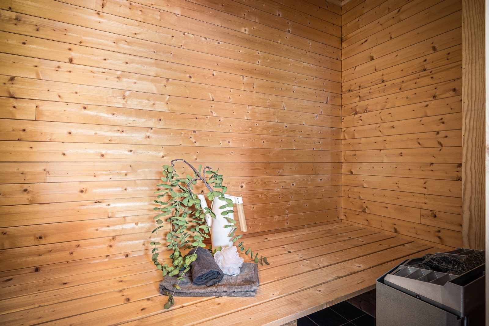 Badstue med inngang fra badet. Galleribilde