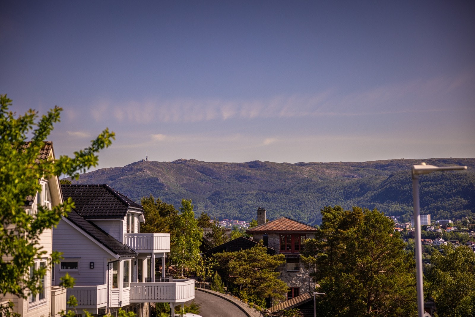 Utsikt mot fjellene. Galleribilde