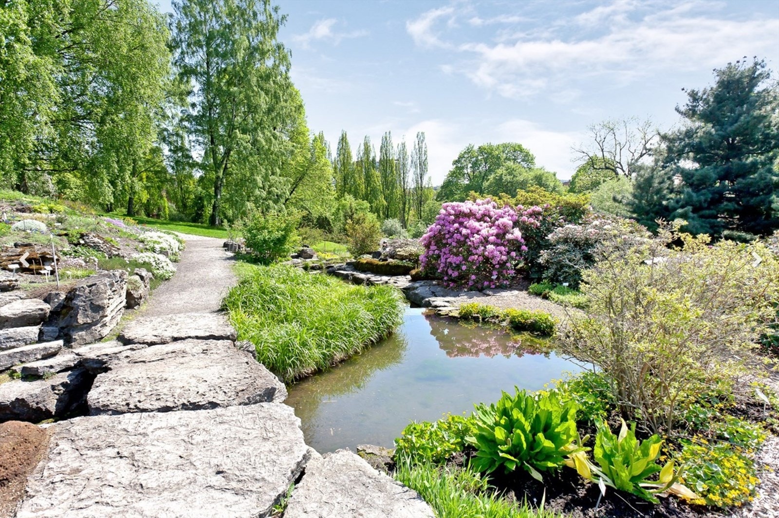 Botanisk hage ligger også kun en kort tur unna leiligheten. Galleribilde