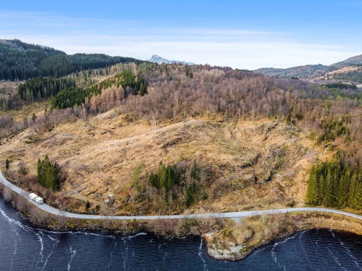 Området omfattar og området nedanfor vegen Galleribilde