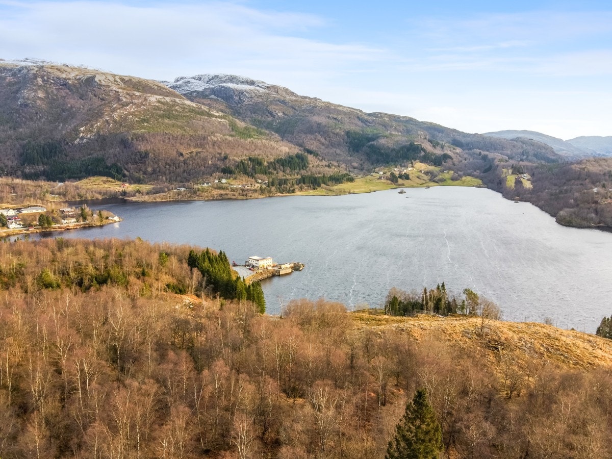 Flott utsikt Galleribilde