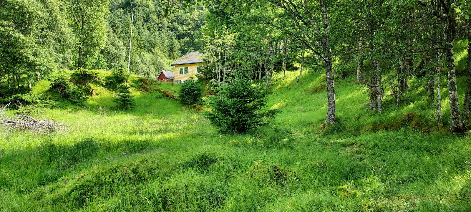 Fasade/uteområde (tatt sommeren 2023) Galleribilde