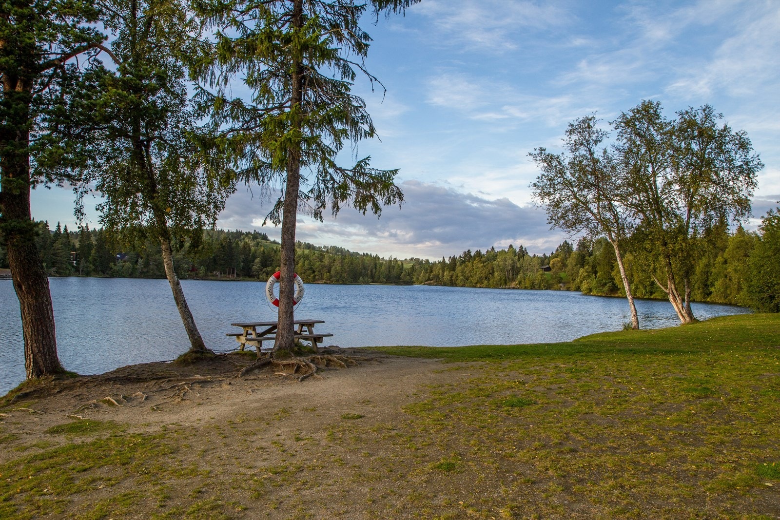 Kyvatnet kun er kort spasertur unna leiligheten. Populært badevann om sommeren og isaktiviteter på vinterstid. Theisendammen er også et annet populært badevann like i nærheten Galleribilde
