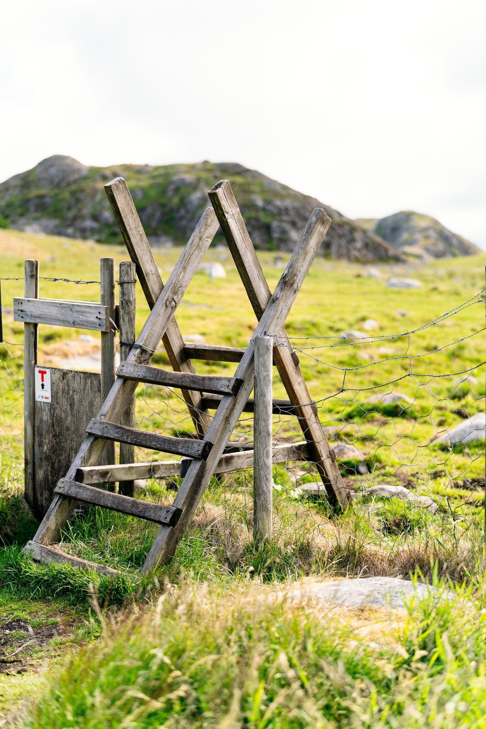Turområdene starter på dørterskelen, med Kodlifjell og Håfjell løypene like i nærheten Galleribilde