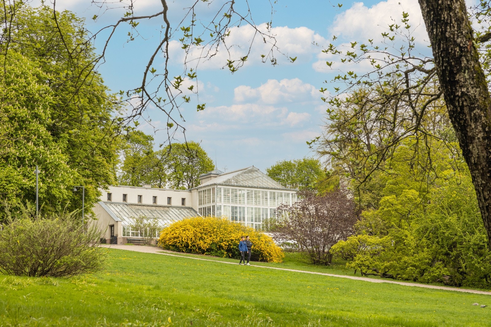 Fantastiske botaniske hage som nærmeste nabo. Galleribilde