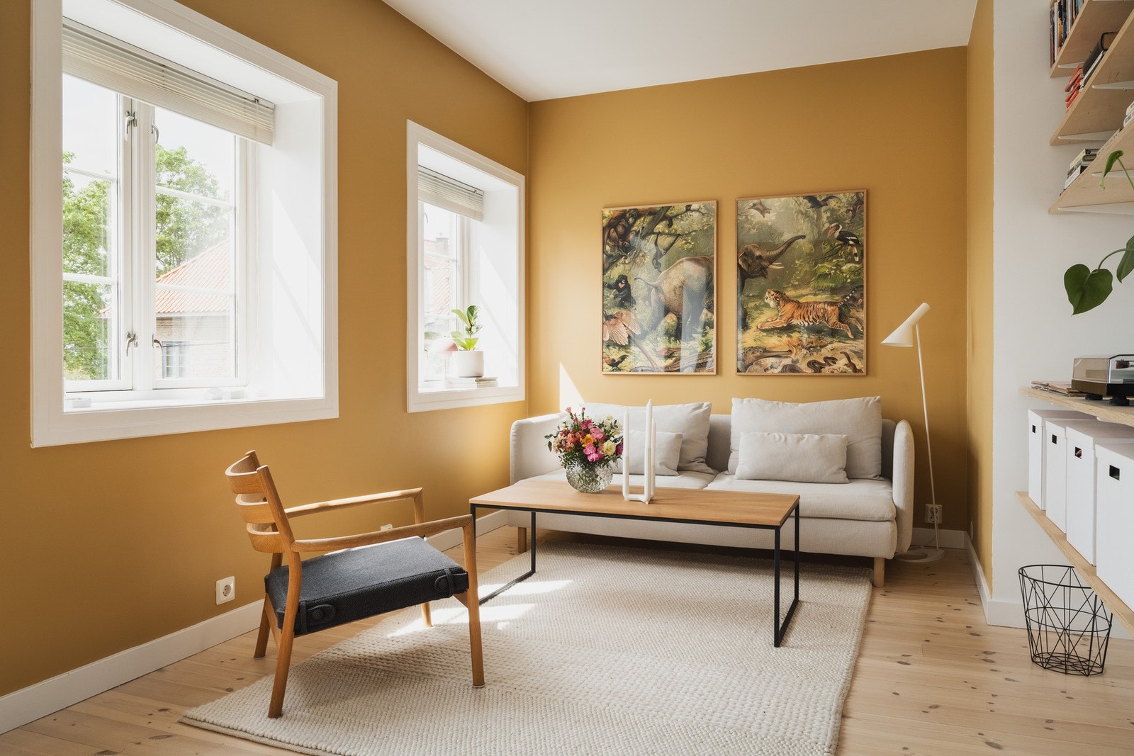 Ypperlige lysforhold fra morgen til kveld. Galleribilde