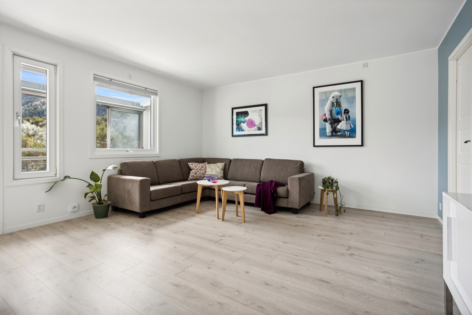 Romslig stue Galleribilde
