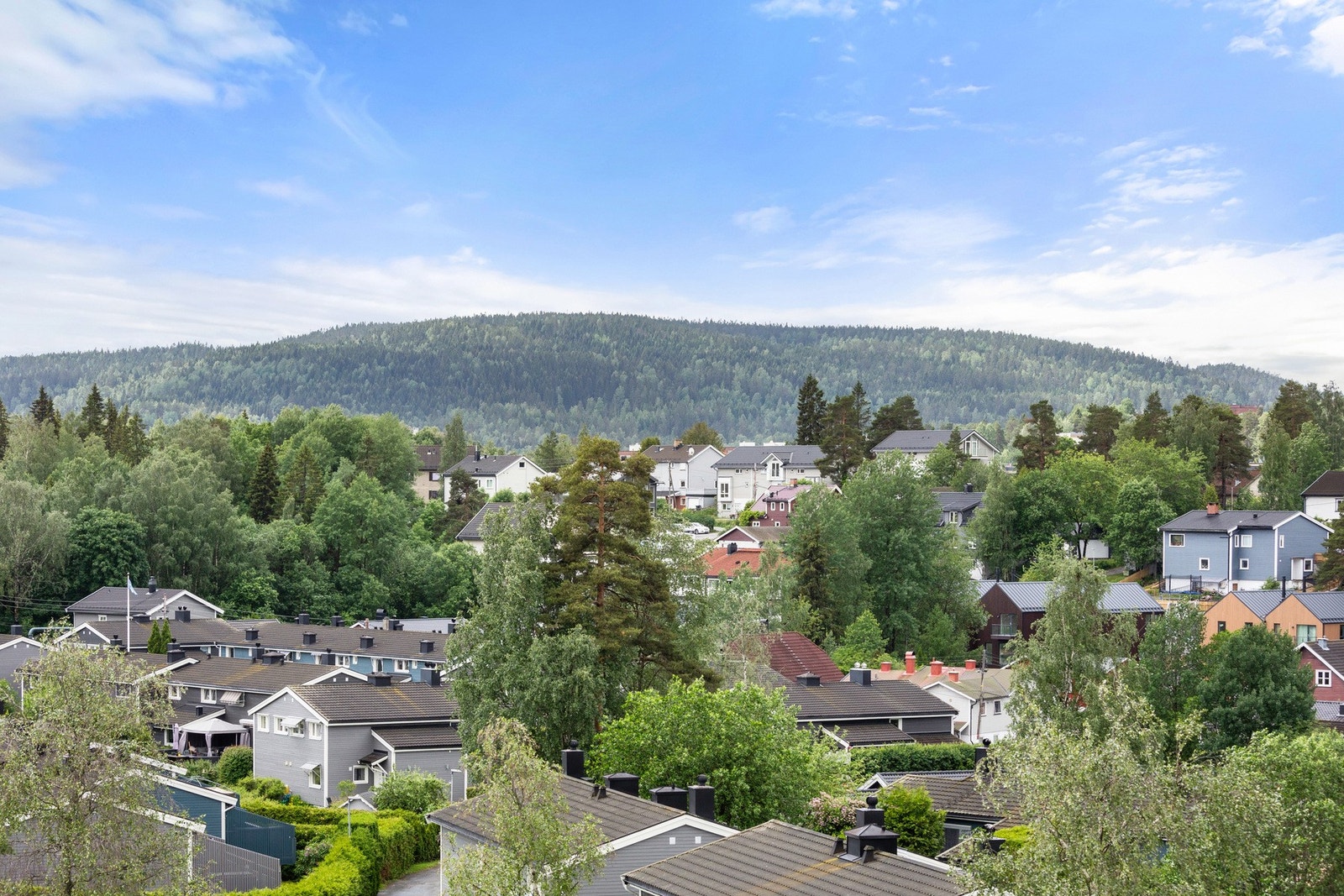 Nydelig utsikt over nærområdet Galleribilde