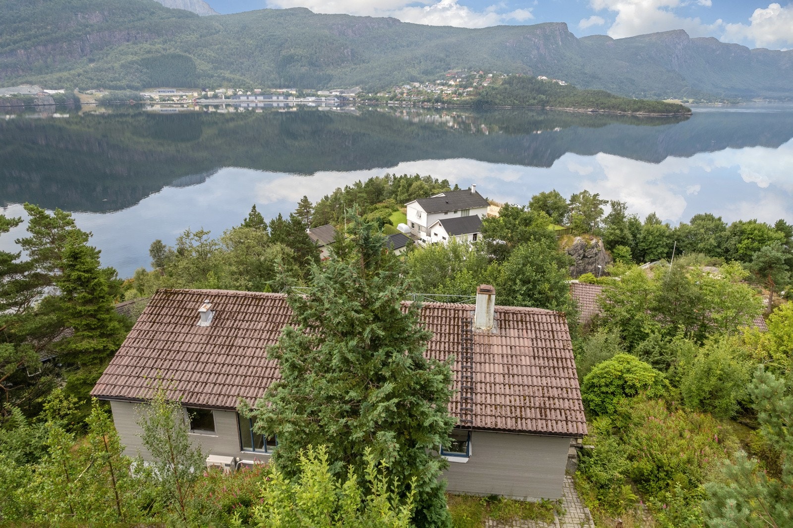 Det er behov for rydding av busker og trær på tomta Galleribilde