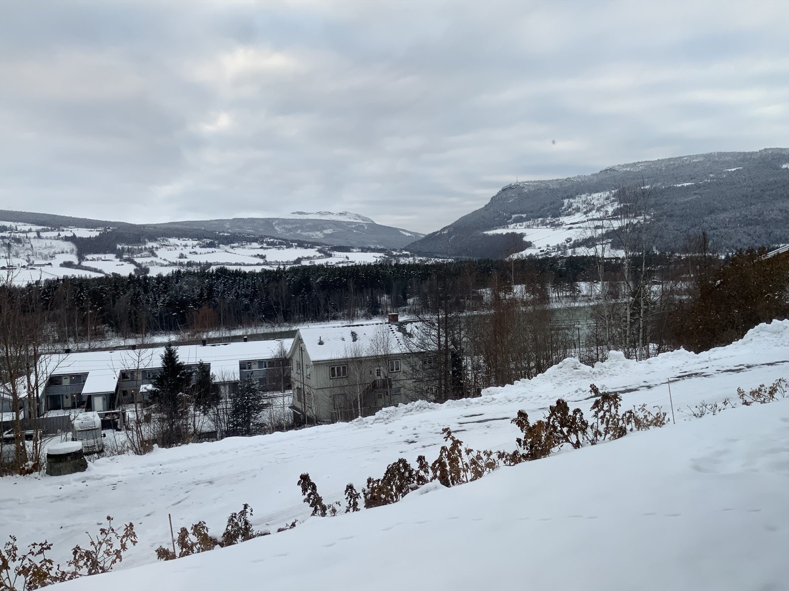 Fra stuen ser man opp mot Feforkampen. Galleribilde