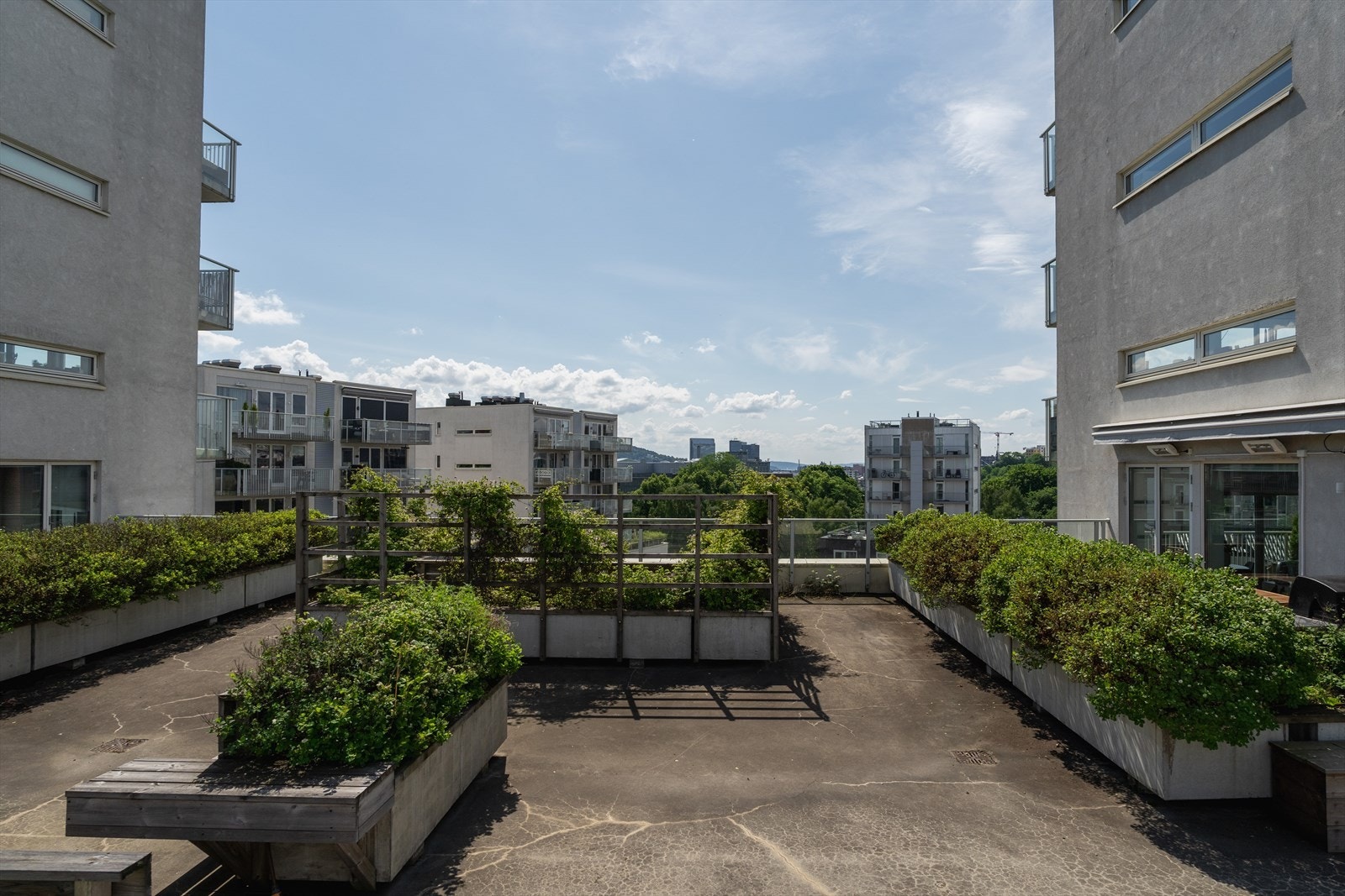 Felles takterrasse Galleribilde