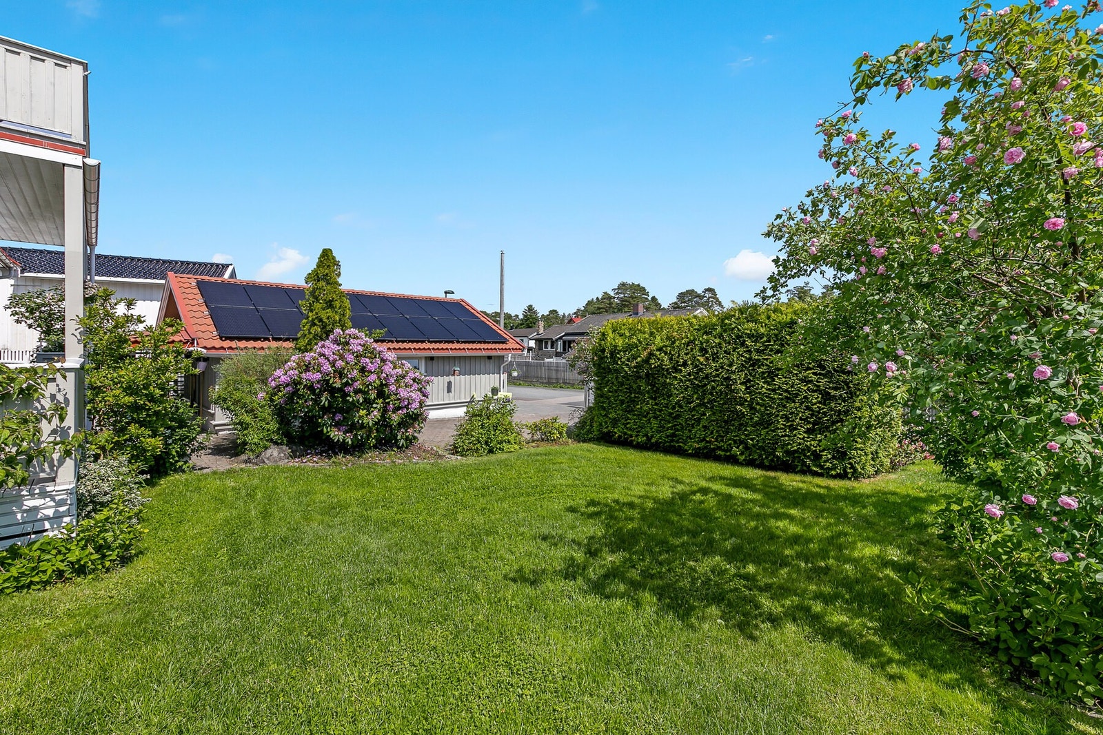 Nydelig hage med en flott plen og beplantning. Galleribilde