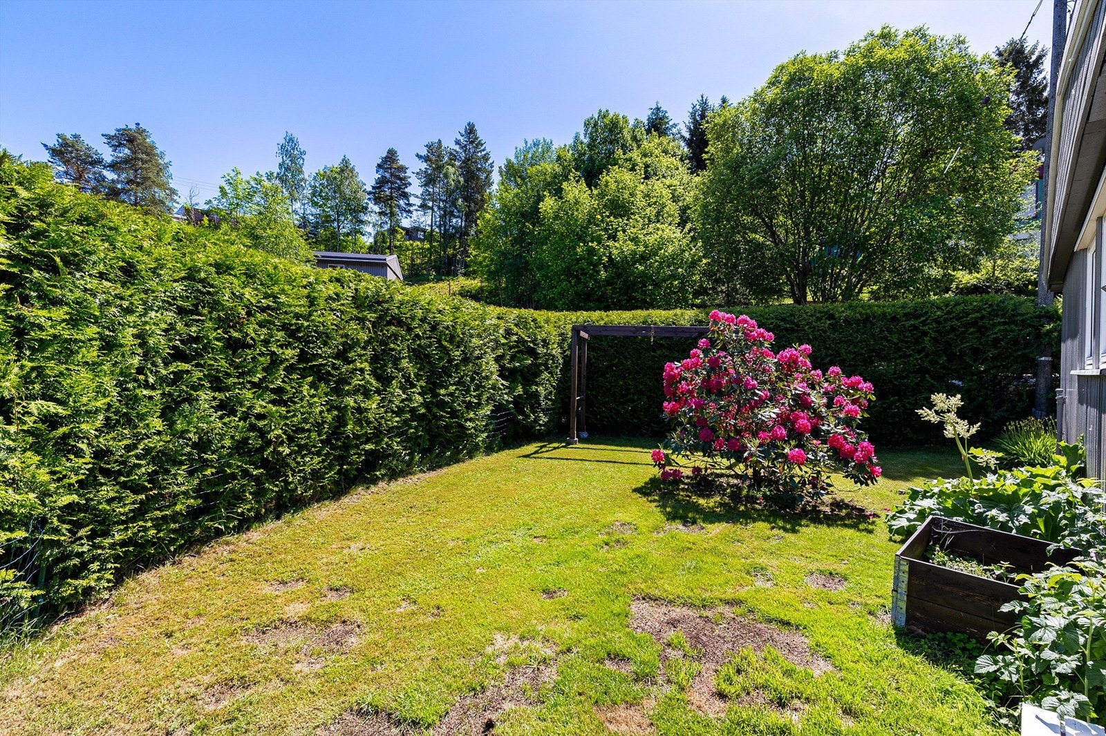 Skrånende tomt som er pent opparbeidet med gressplen, hekk, barkebed, steinbed, prydbusker og diverse beplantninger Galleribilde