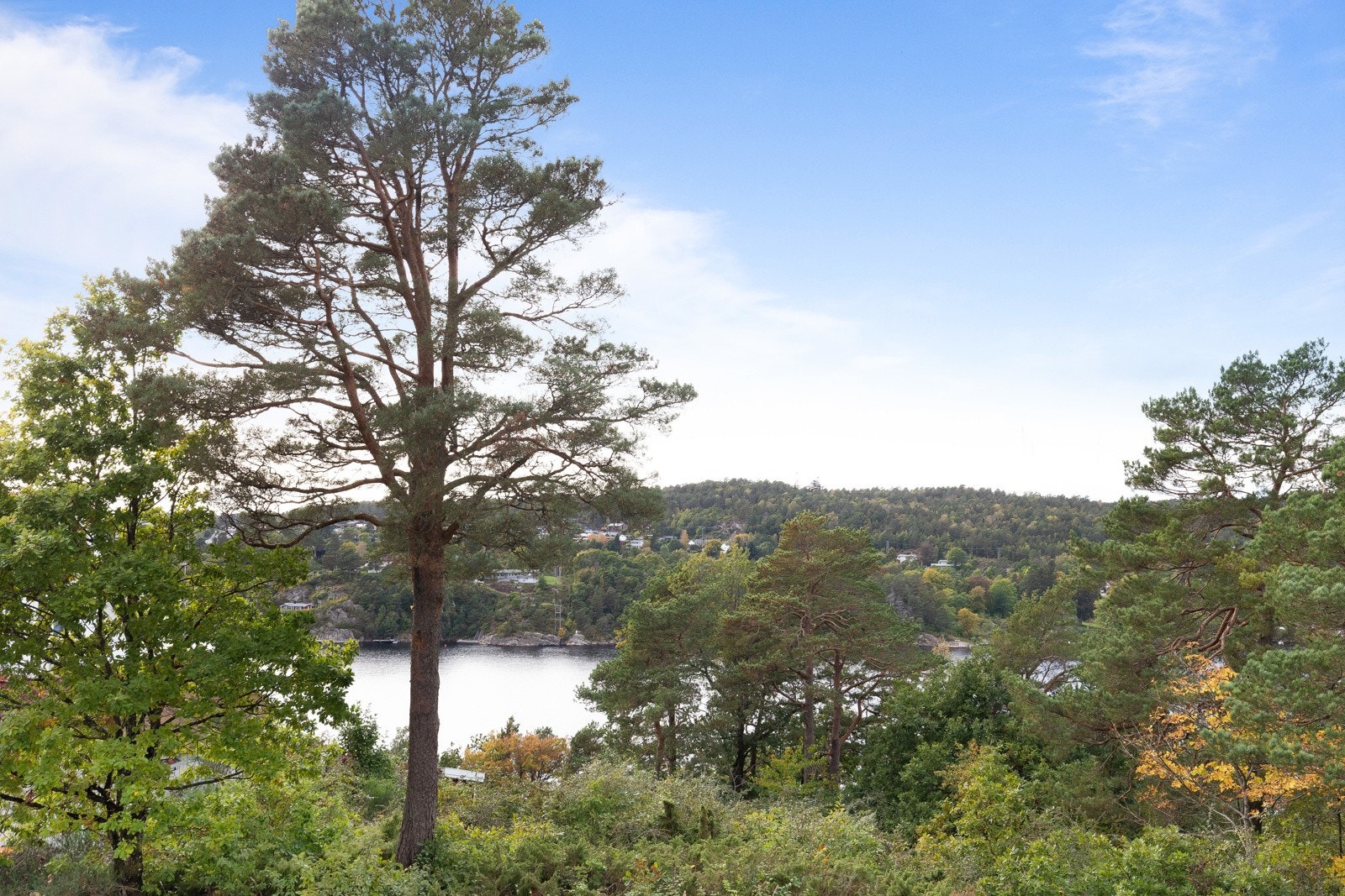 På eiendommen får man noe utsikt over sjøen og de naturskjønne omgivelsene. Galleribilde