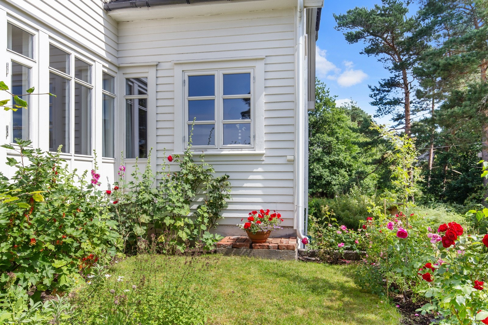 Bærbusker og fine blomsterbed bidrar til å skape en frodig hage. Galleribilde