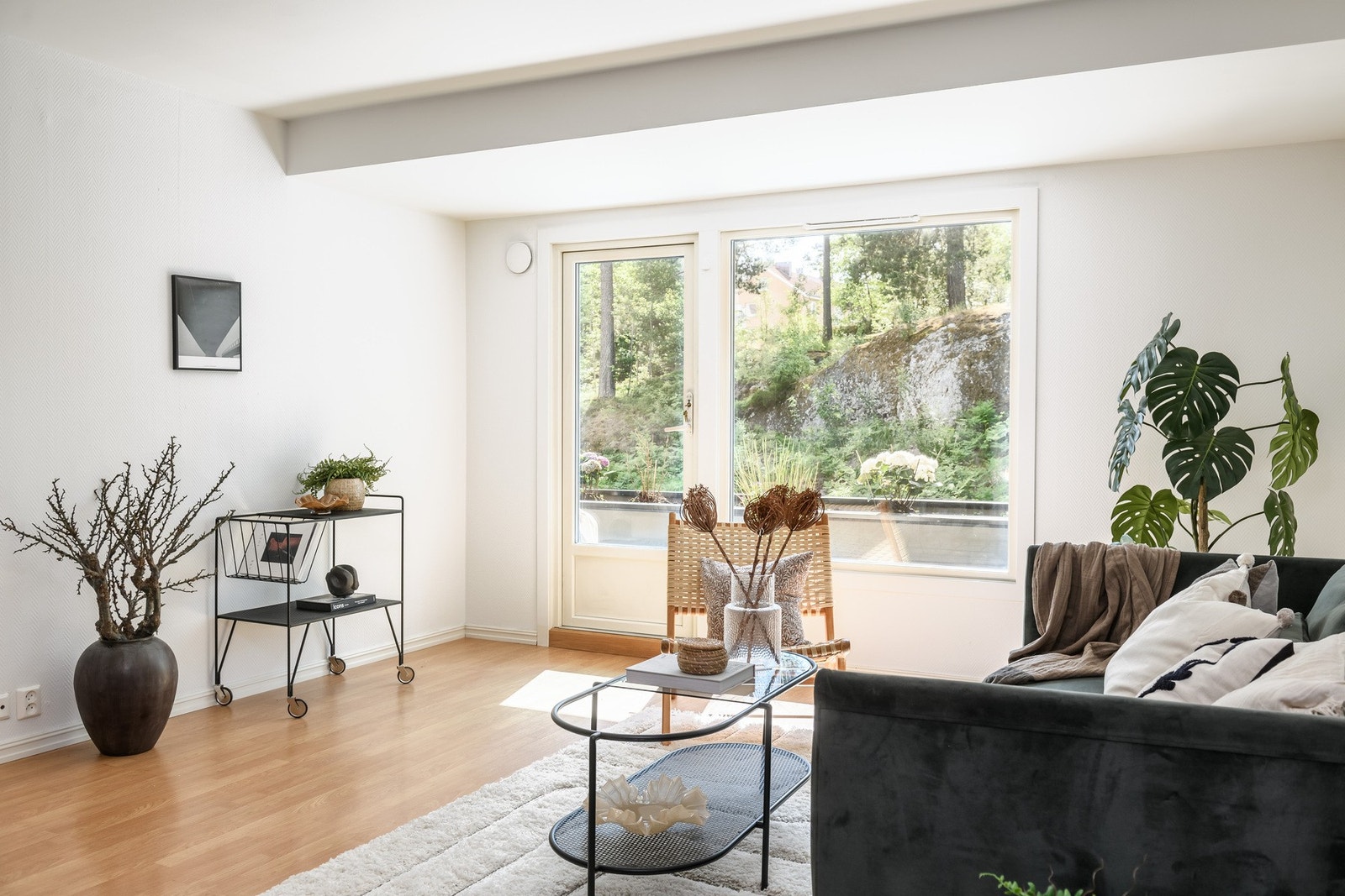 Herlig atmosfære og flott utsyn mot det idylliske skogholtet. Galleribilde