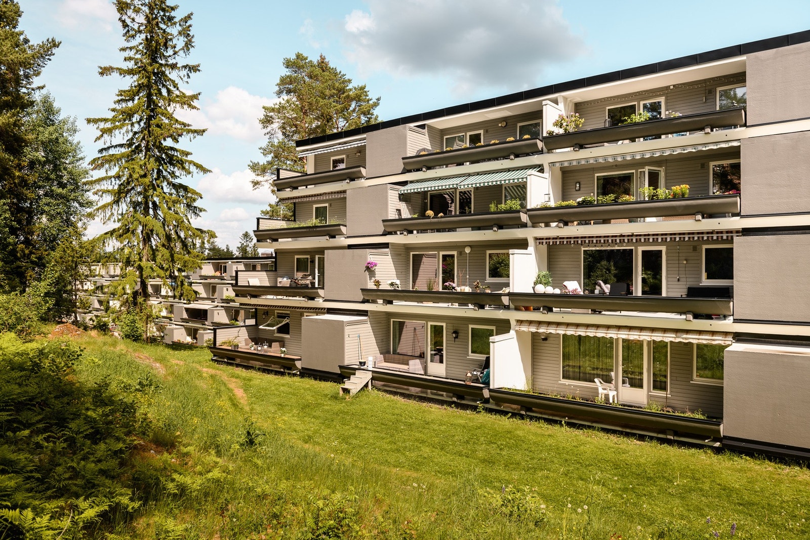 Hyggelig fellesområde med plen og beplantning. Galleribilde