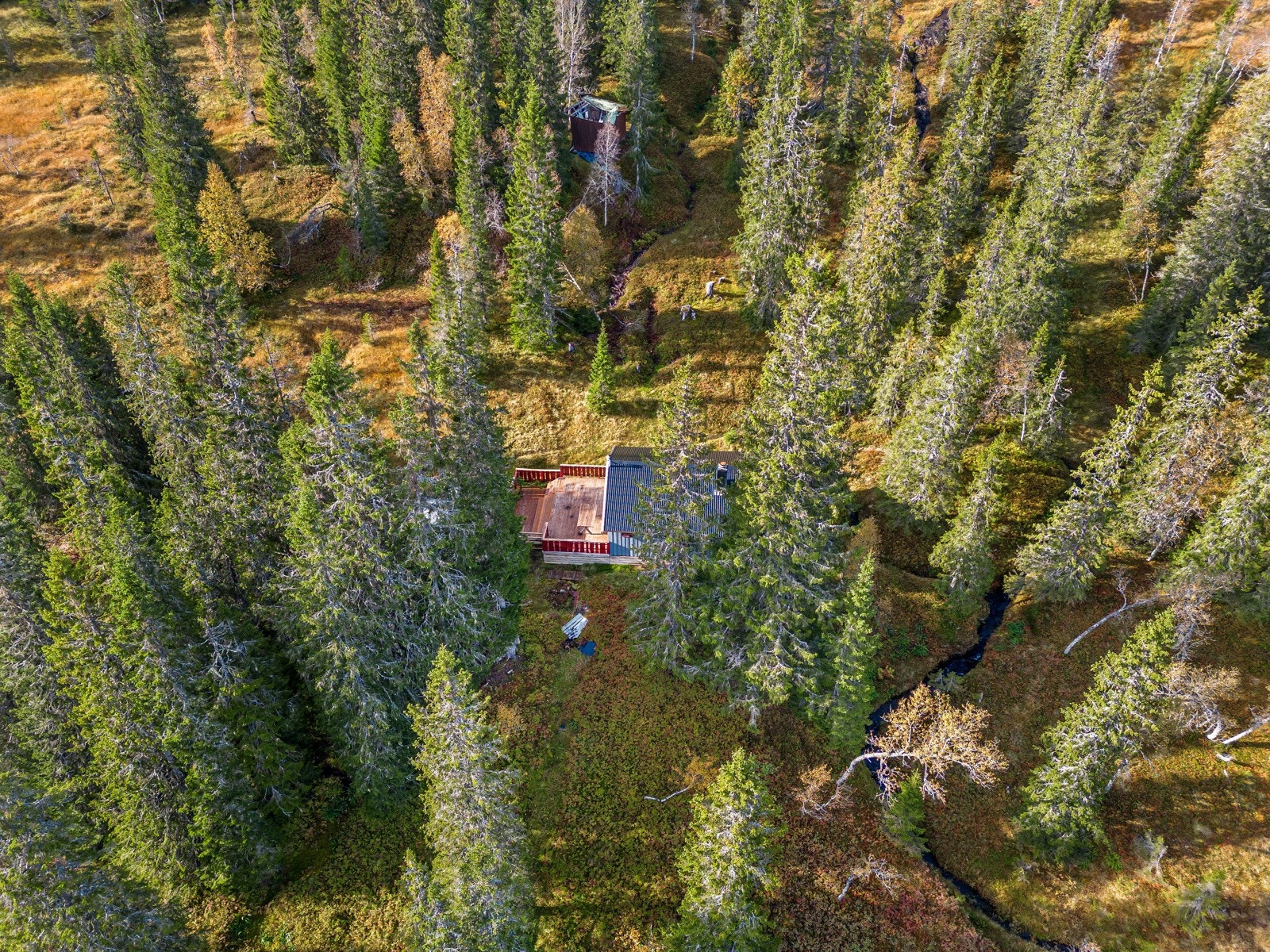 Dronefoto Galleribilde