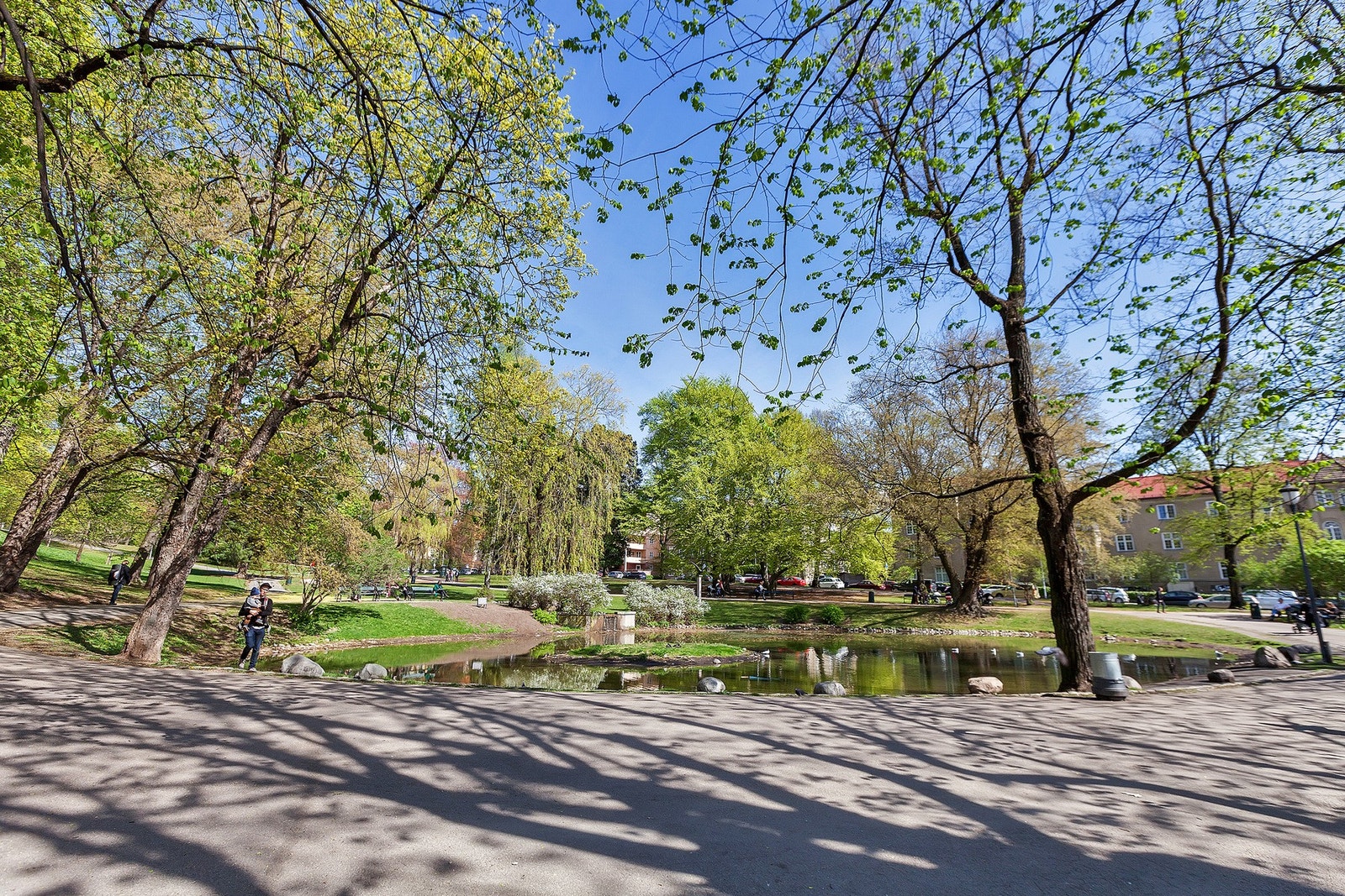 Parken er et yndet sted for piknik, jogging, og avslapning, og om sommeren arrangeres det ofte konserter og andre kulturarrangementer her. Galleribilde