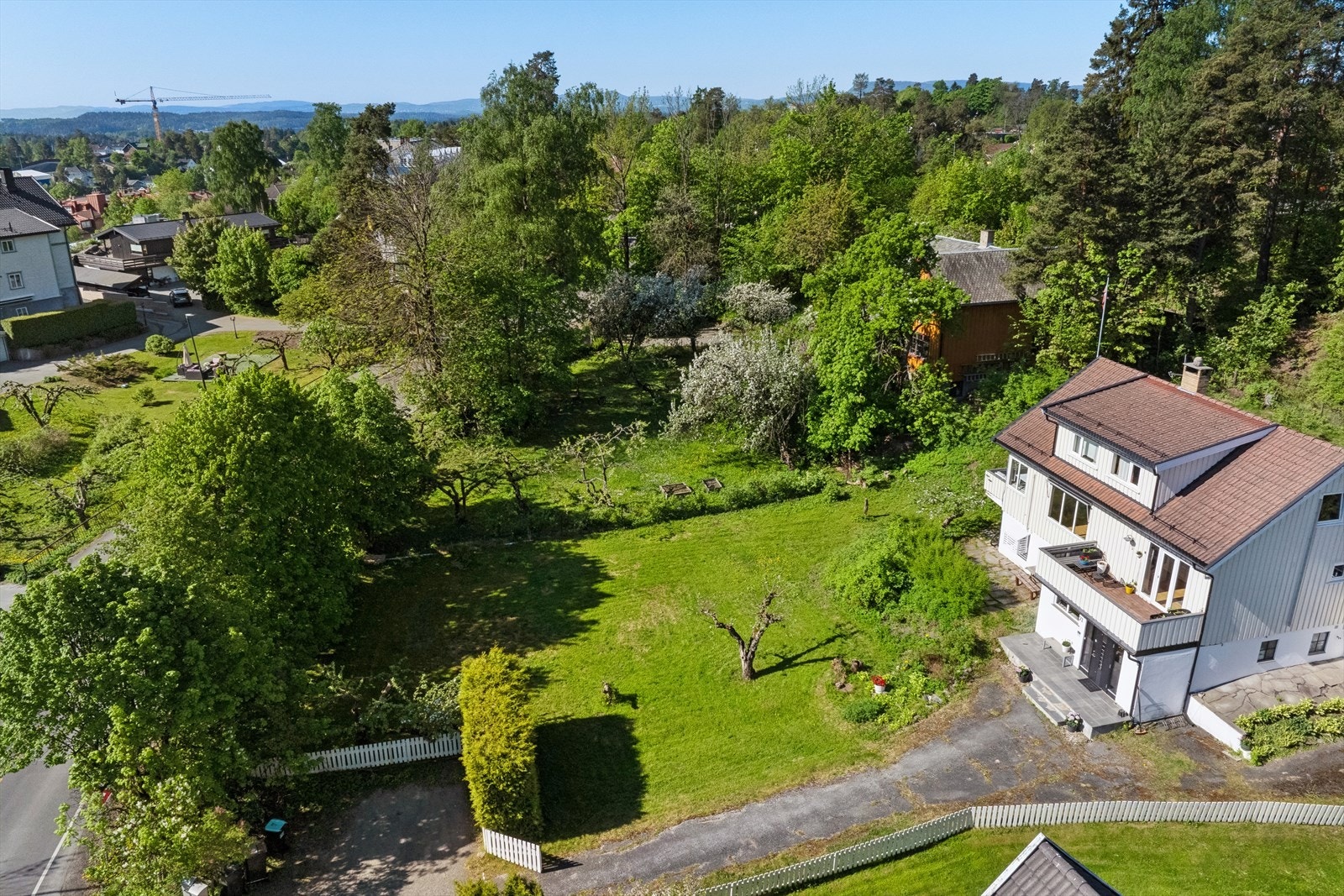 Solforhold: Bilde tatt kl. 10.00 Galleribilde
