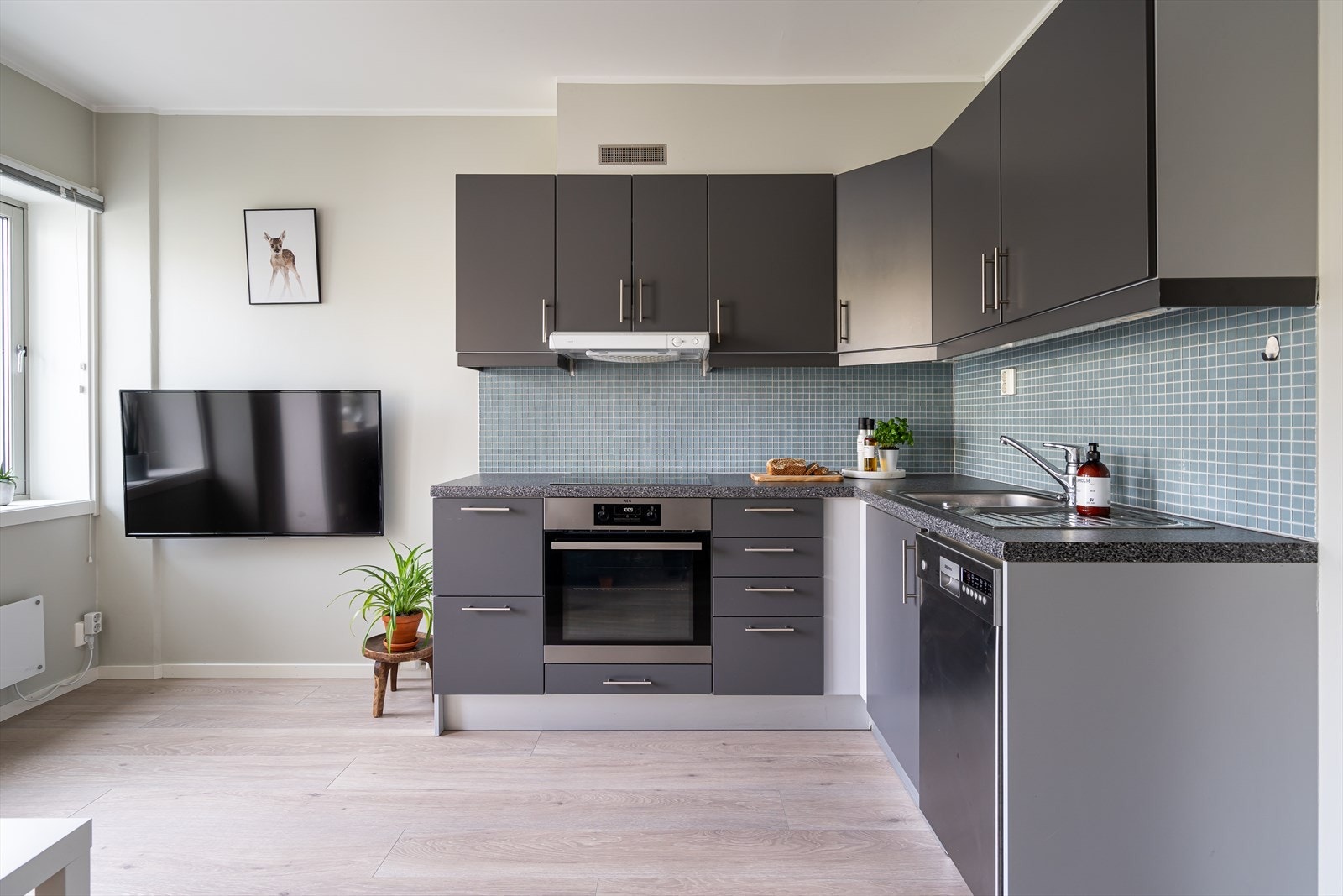 Hvitevarene består av frittstående kombiskap, integrert oppvaskmaskin, stekeovn og nedfelt platetopp. Over kokesonen er det avtrekksvifte med avtrekk via mekanisk avtrekksanlegg. Galleribilde