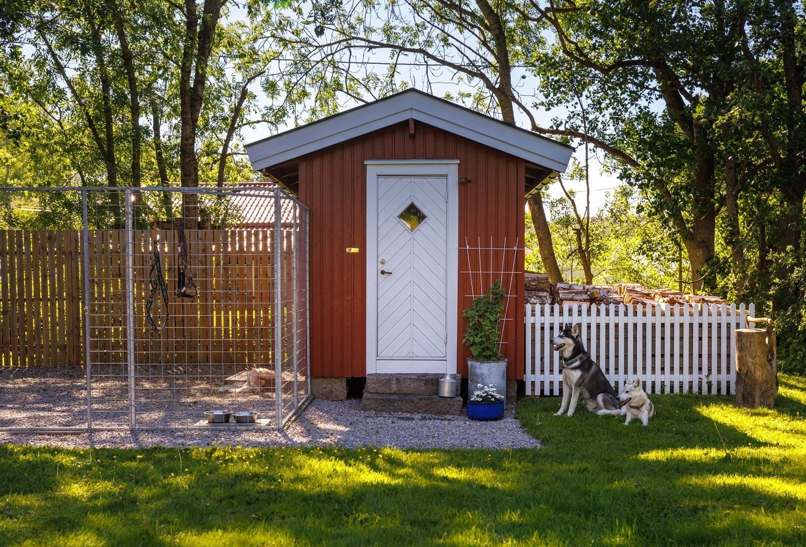 Nederst i hagen står en innhegning med et hundehus _ som enkelt kan gjøres om til hønsehus hvis man ønsker tilgang på ferske egg. Galleribilde