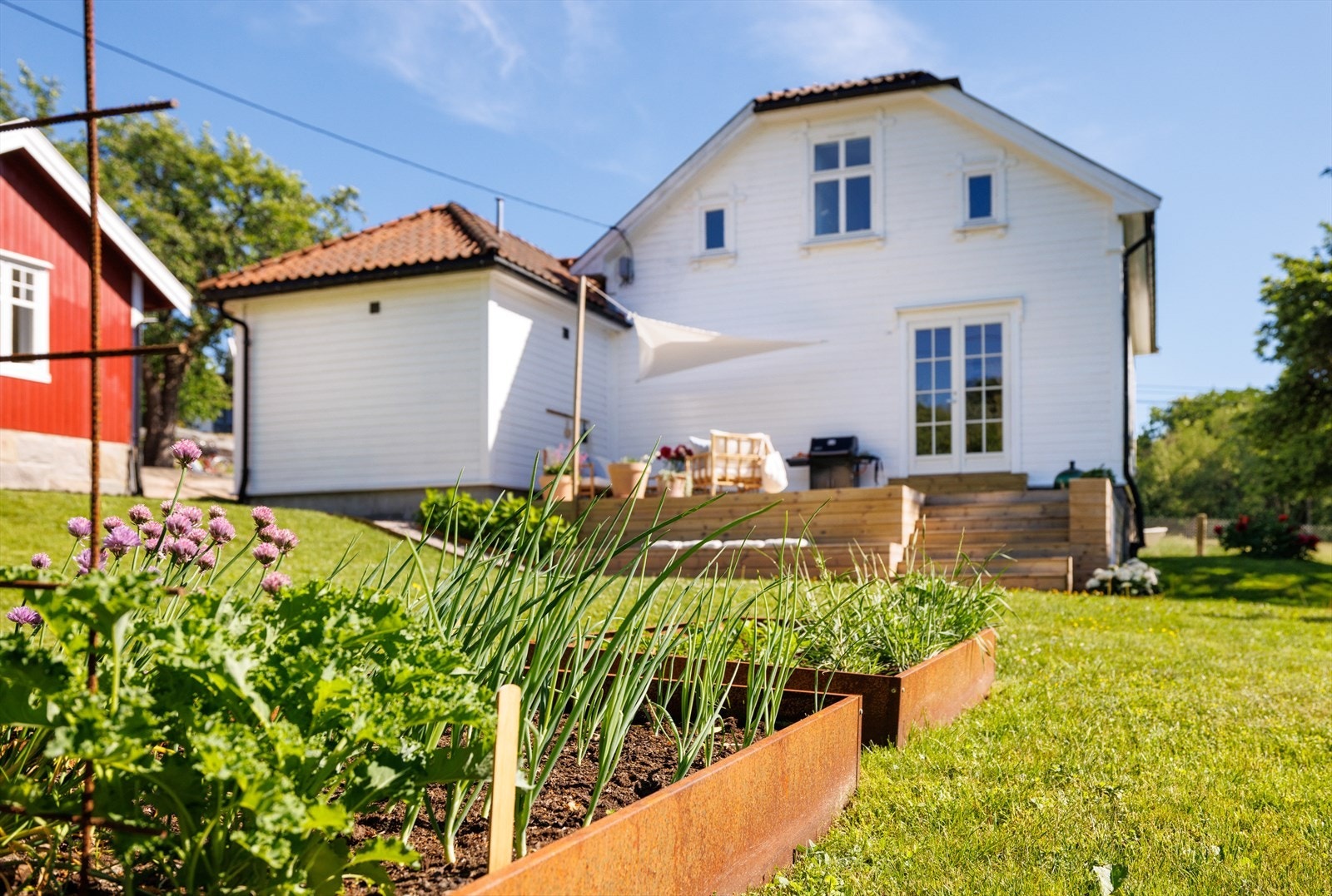 hagen er det etablert pene innredede bedd med diverse grønnsaker. Galleribilde