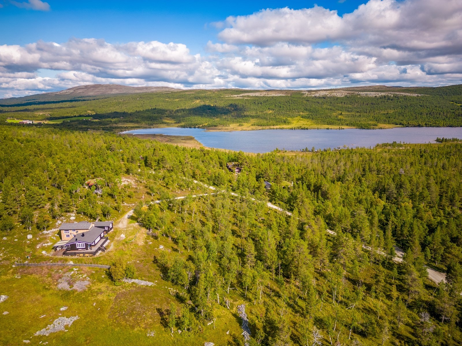 Tomten består av stedstypisk vegetasjon som lyng, gress, bjørk og nåletrær. Galleribilde