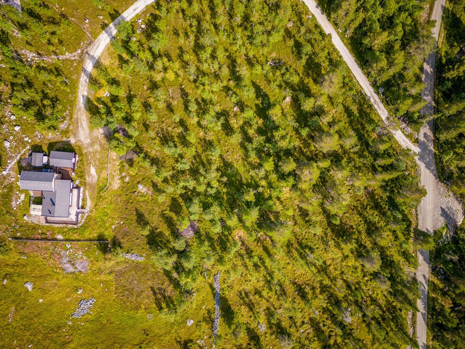 Velkommen til en trivelig visning! Galleribilde