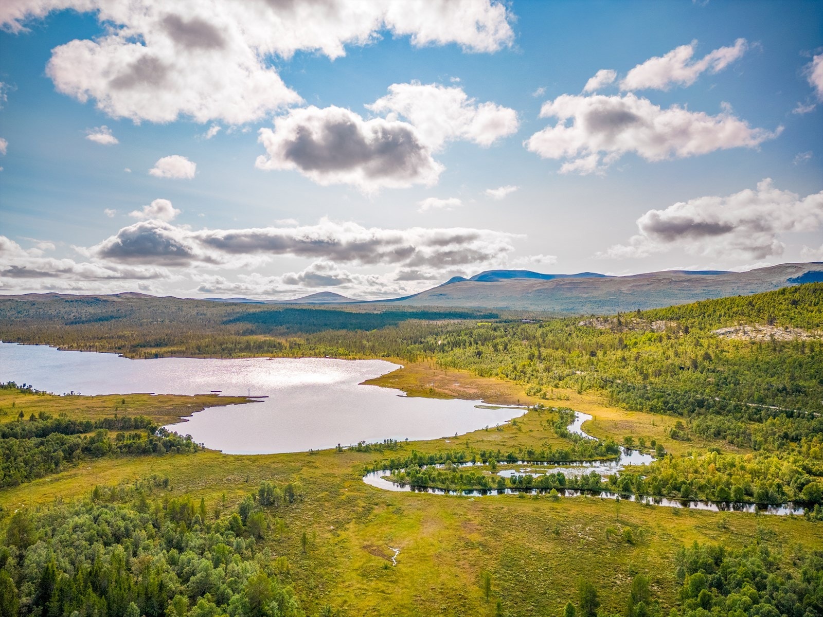 Velkommen til Berget 4 - en naturskjønn selveiertomt på 1 027 kvm. Galleribilde