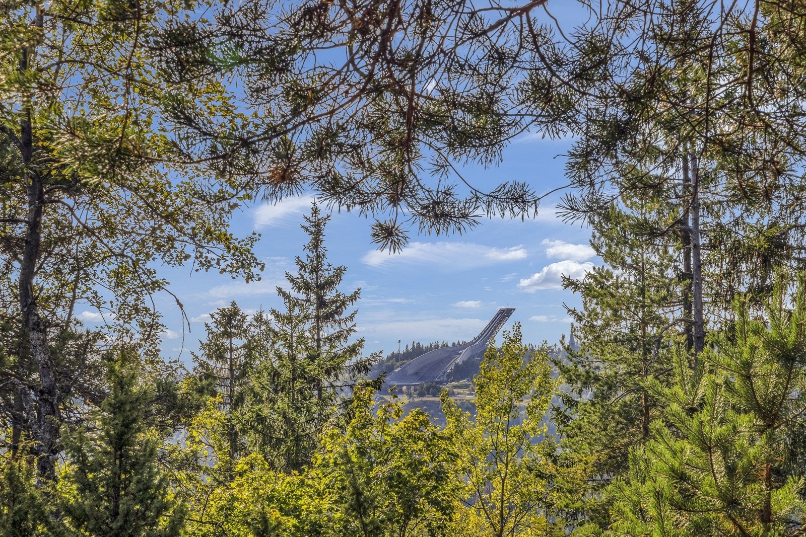 Få minutter inn til løpene som starter innerst i Planetveien. Kort skogstur opp til Fuglemyrhytta Galleribilde