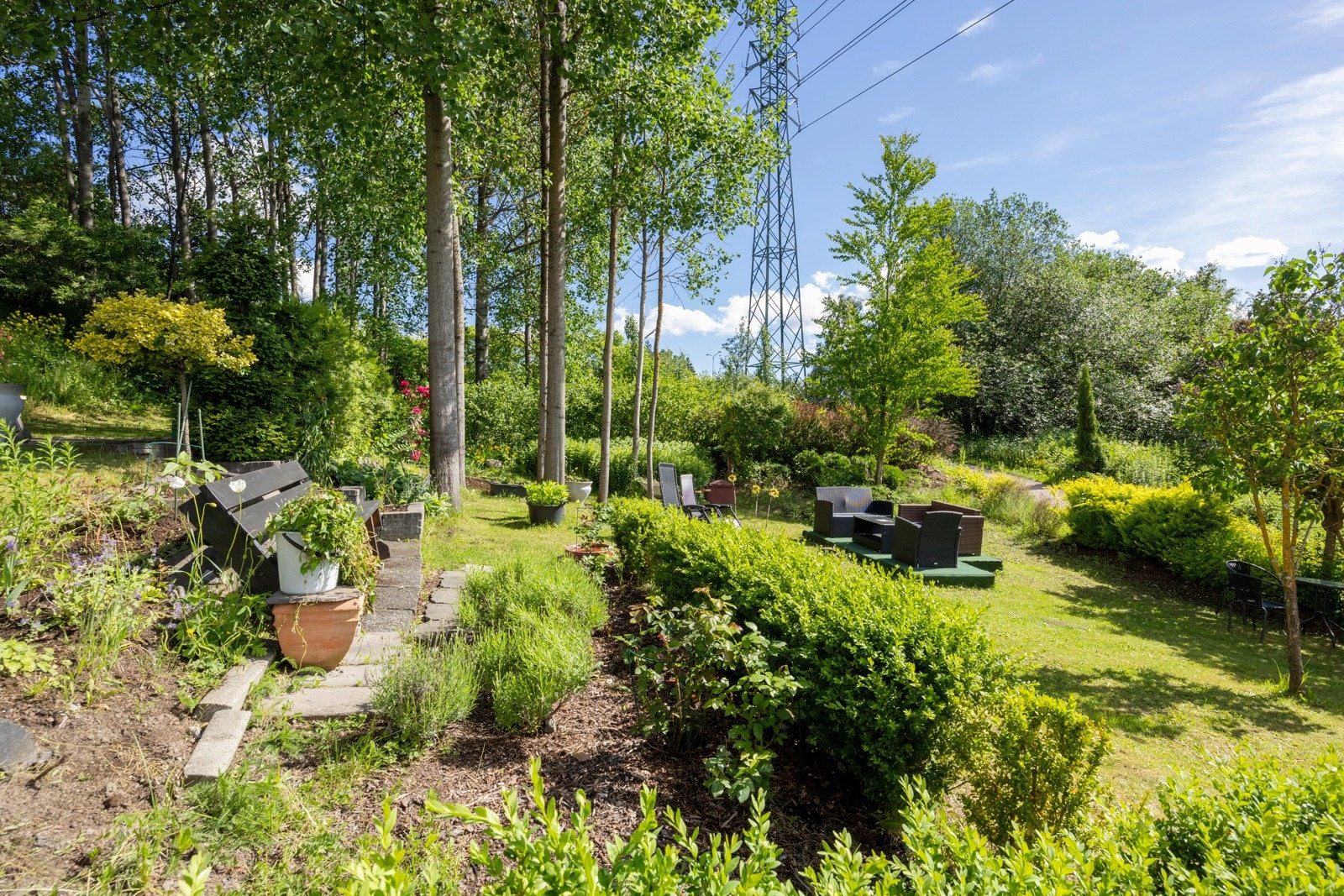 Fint grøntområde. Galleribilde