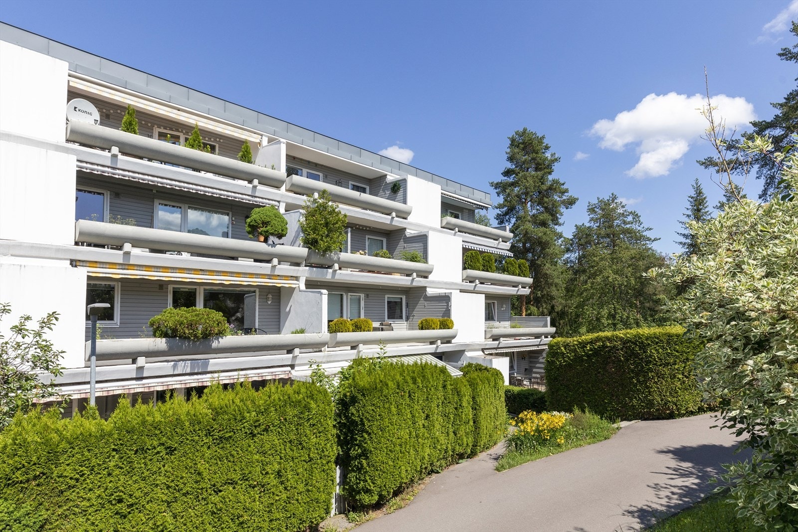 Stille og rolig, svært barnevennlig. Galleribilde