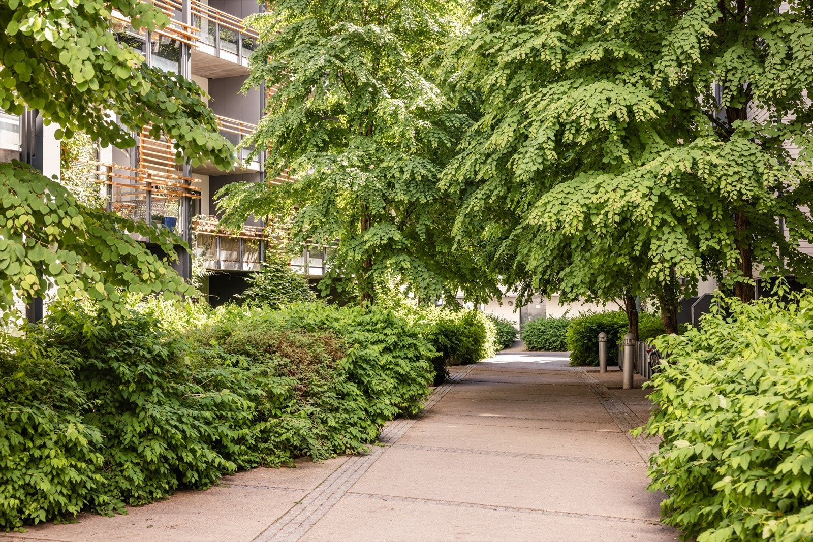 Inngangspartiet til Pilestredet Park 38 Galleribilde