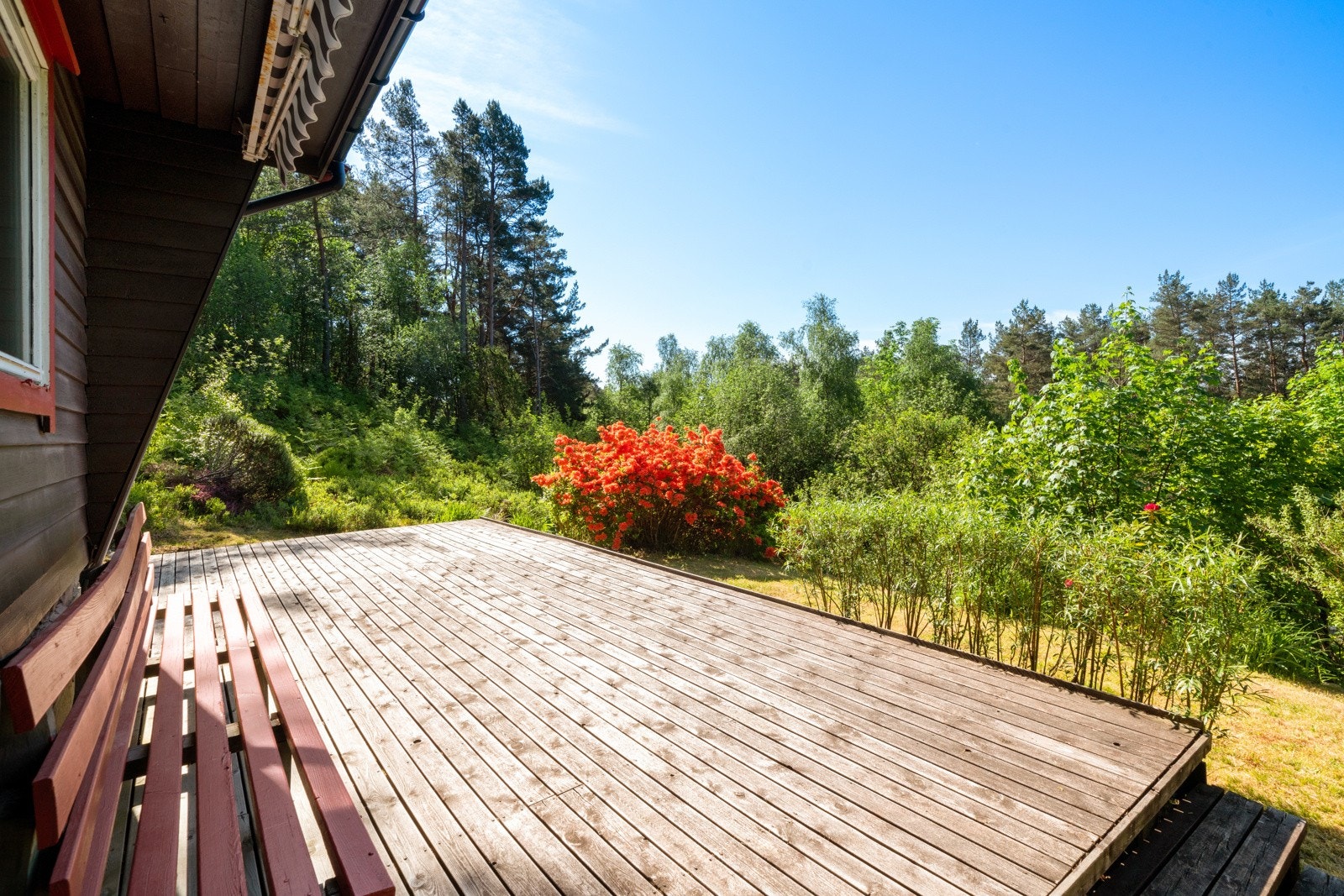 Stor terrasseplatting ved inngangspartiet Galleribilde