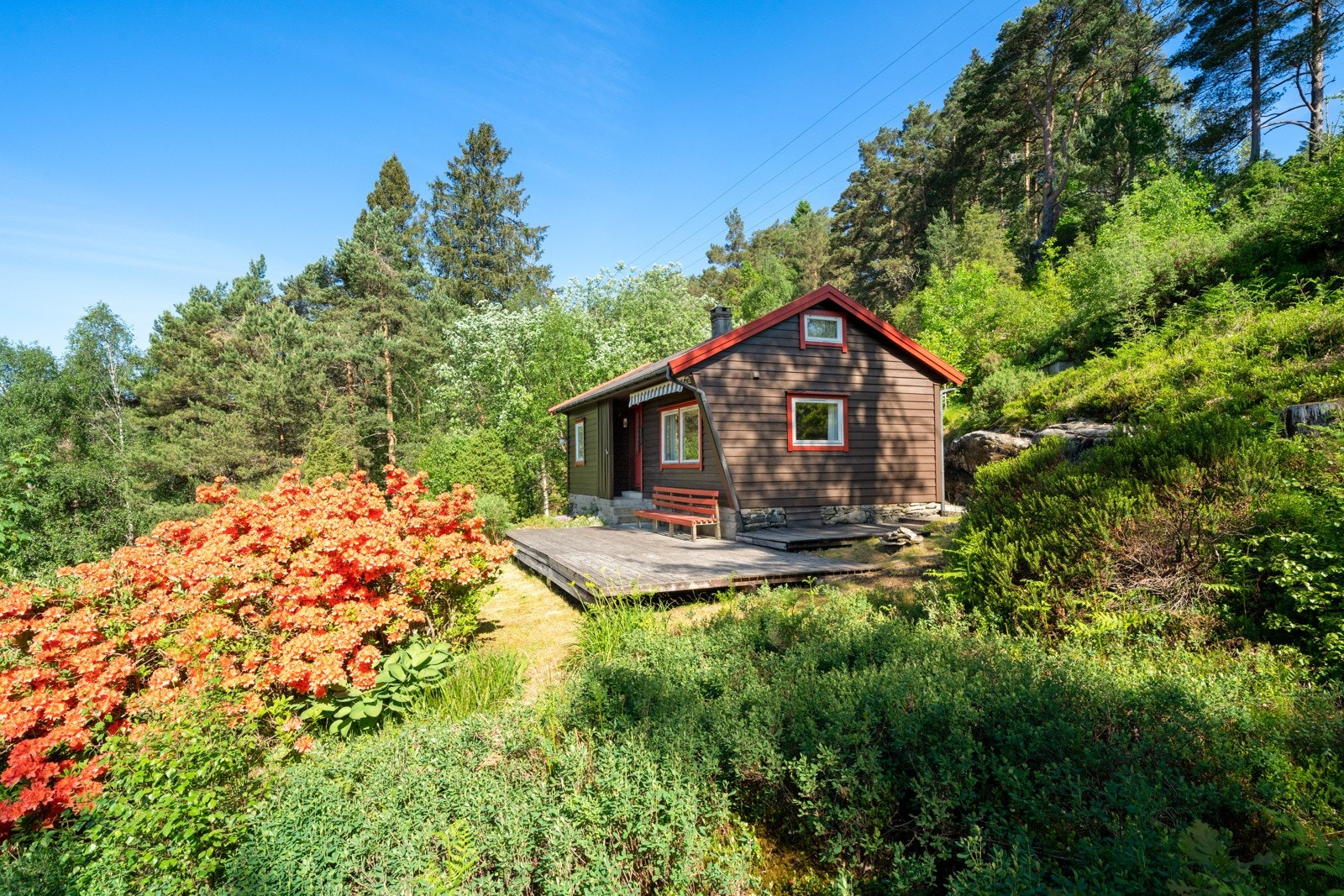 Tomten er pent opparbeidet med plen og beplantning, ellers naturtomt. Galleribilde