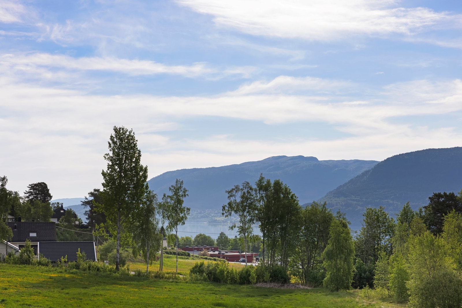 Fin utsikt Galleribilde