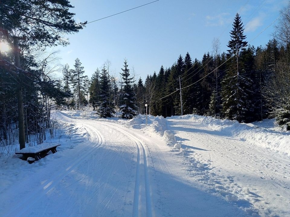 Marka kan nytes under alle årstidene, spesielt vinteren for den skiglade. Det er fine løyper kort vei fra hjemmet. Galleribilde