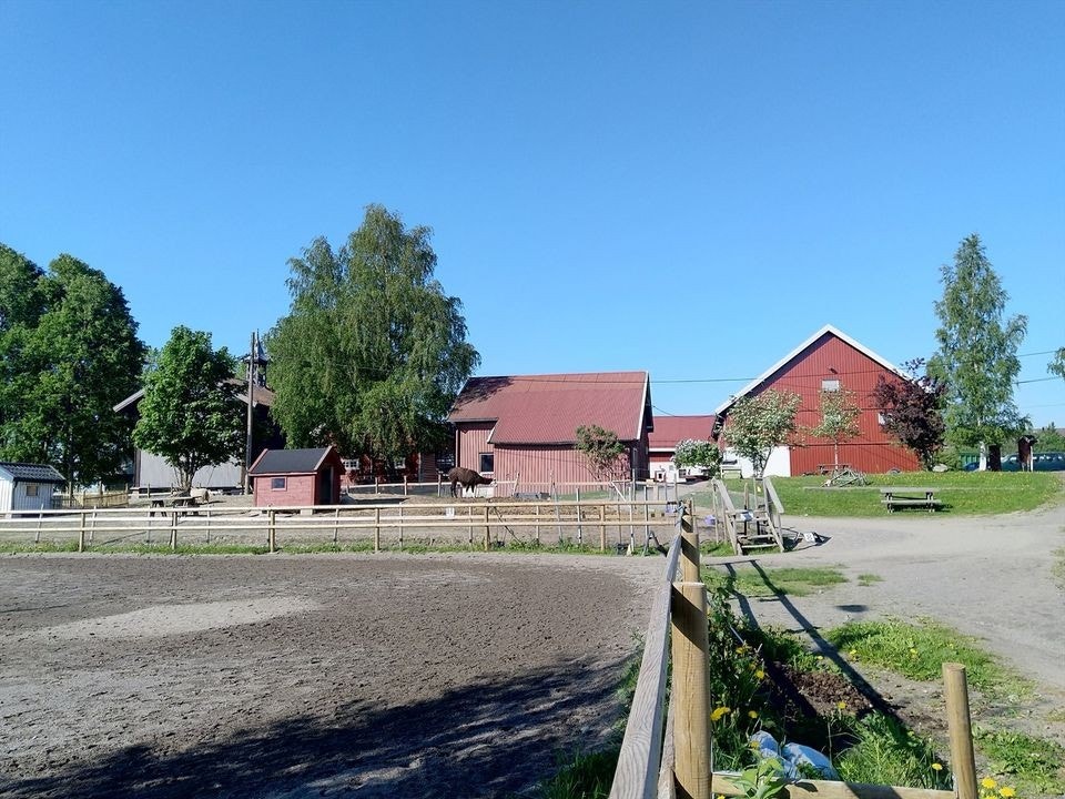 Her får du Nordtvet Gård som din nærmeste nabo! Galleribilde