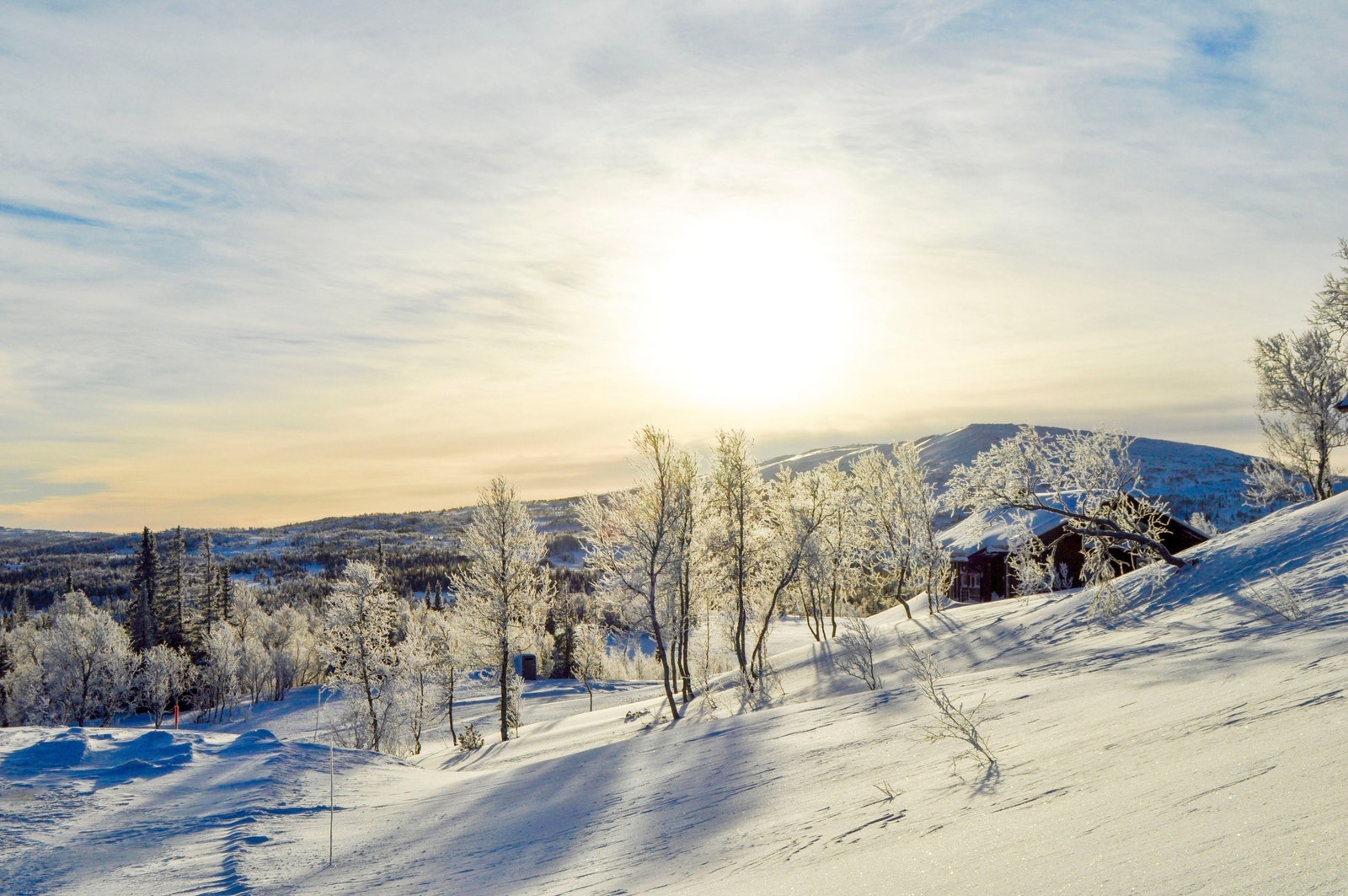 Velkommen til Lierne og Løvsjølia hyttegrend! Galleribilde