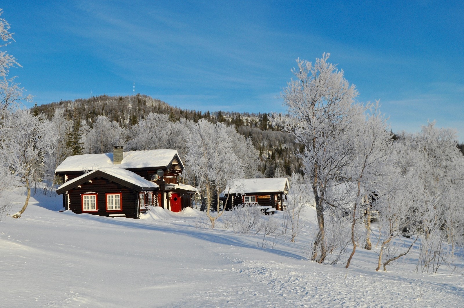 Reguleringsplanen gir mulighet for en hytte med uthus/anneks for hver tomt på inntil 110 kvm totalt Galleribilde