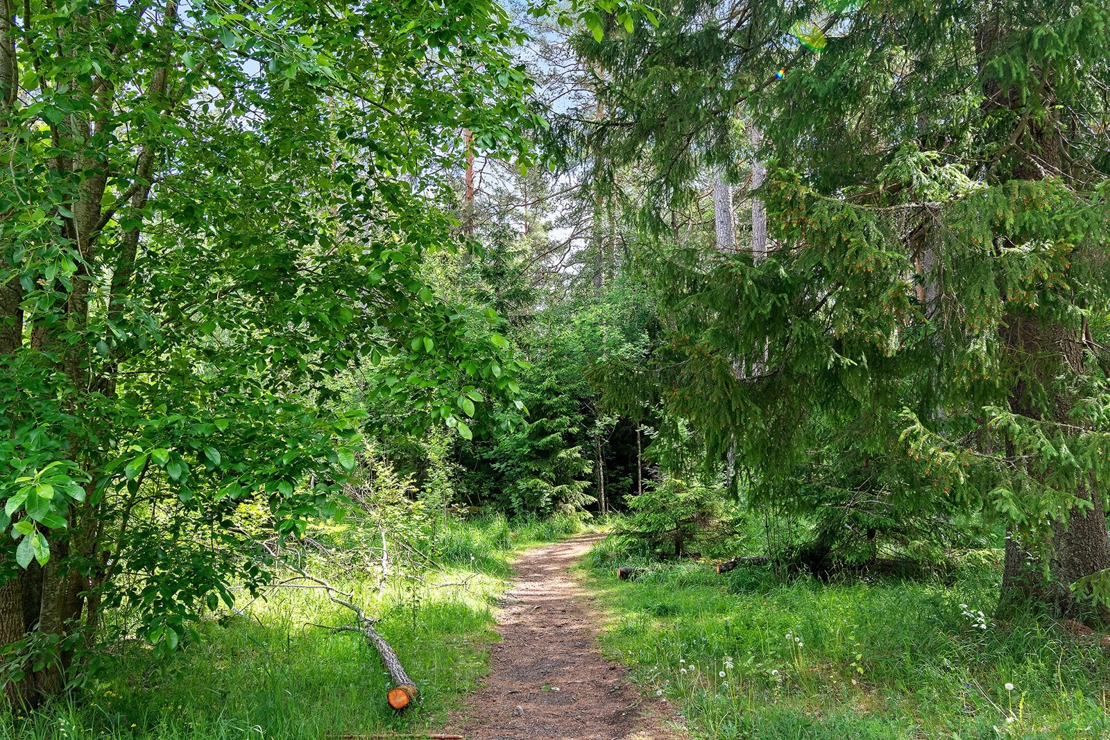 Rett ved leiligheten ligger også tursti til Lambertseters helt egne lysløype som er et populært turområde for beboerne i området både sommer og vinter. Her ifra er det også en gangvei som tar deg rett over til Skullerud og videre inn i Østmarka. Galleribilde