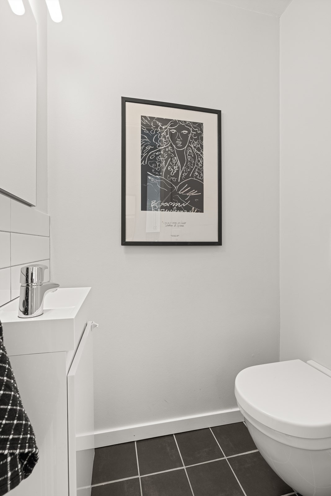 Gjestetoalett i tilknytning entréen. Galleribilde